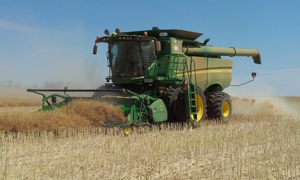 Golden year for high-oil canola - Grain Central