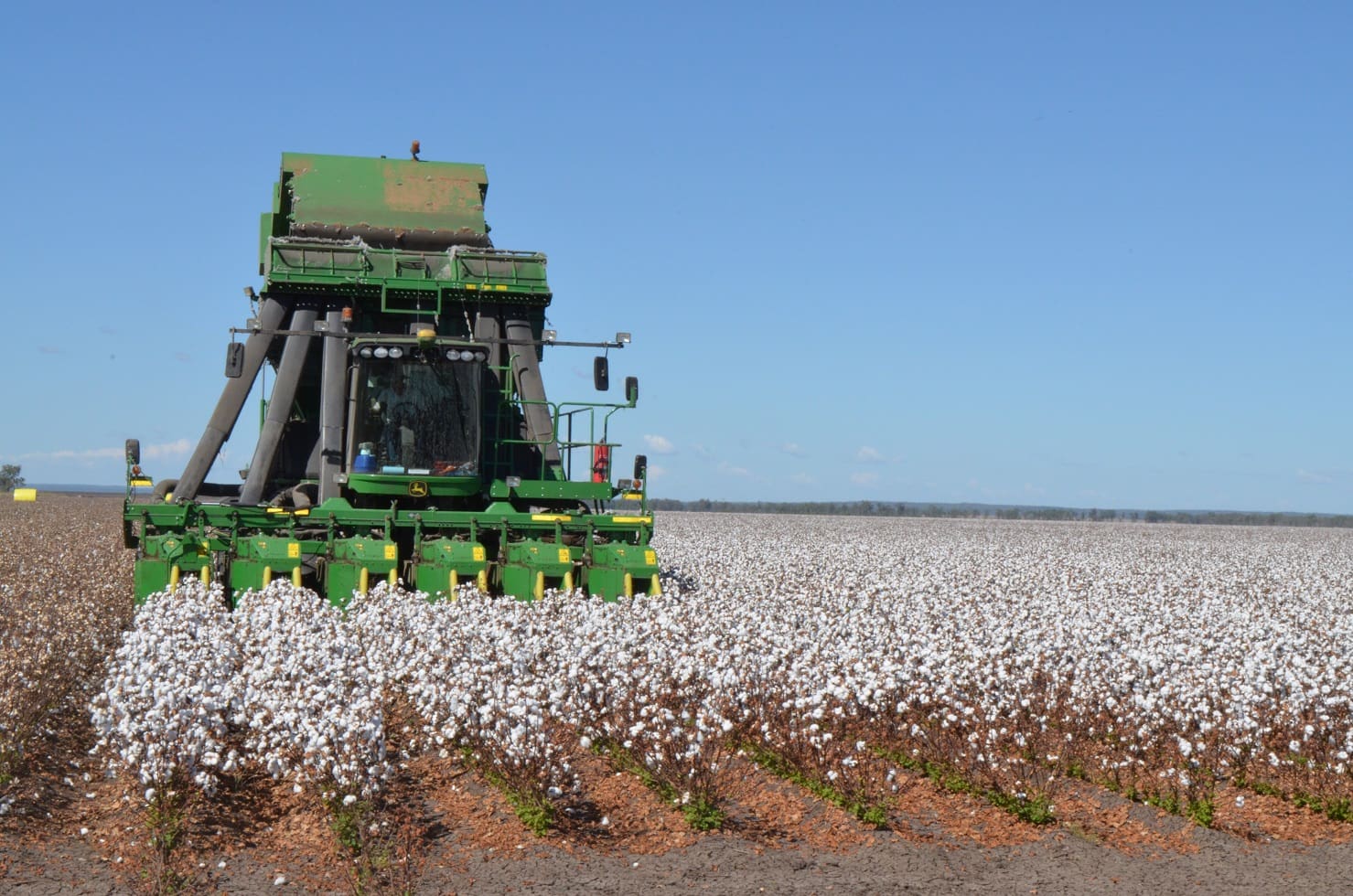 Cotton Picking Kicks Off In Central Queensland Grain Central