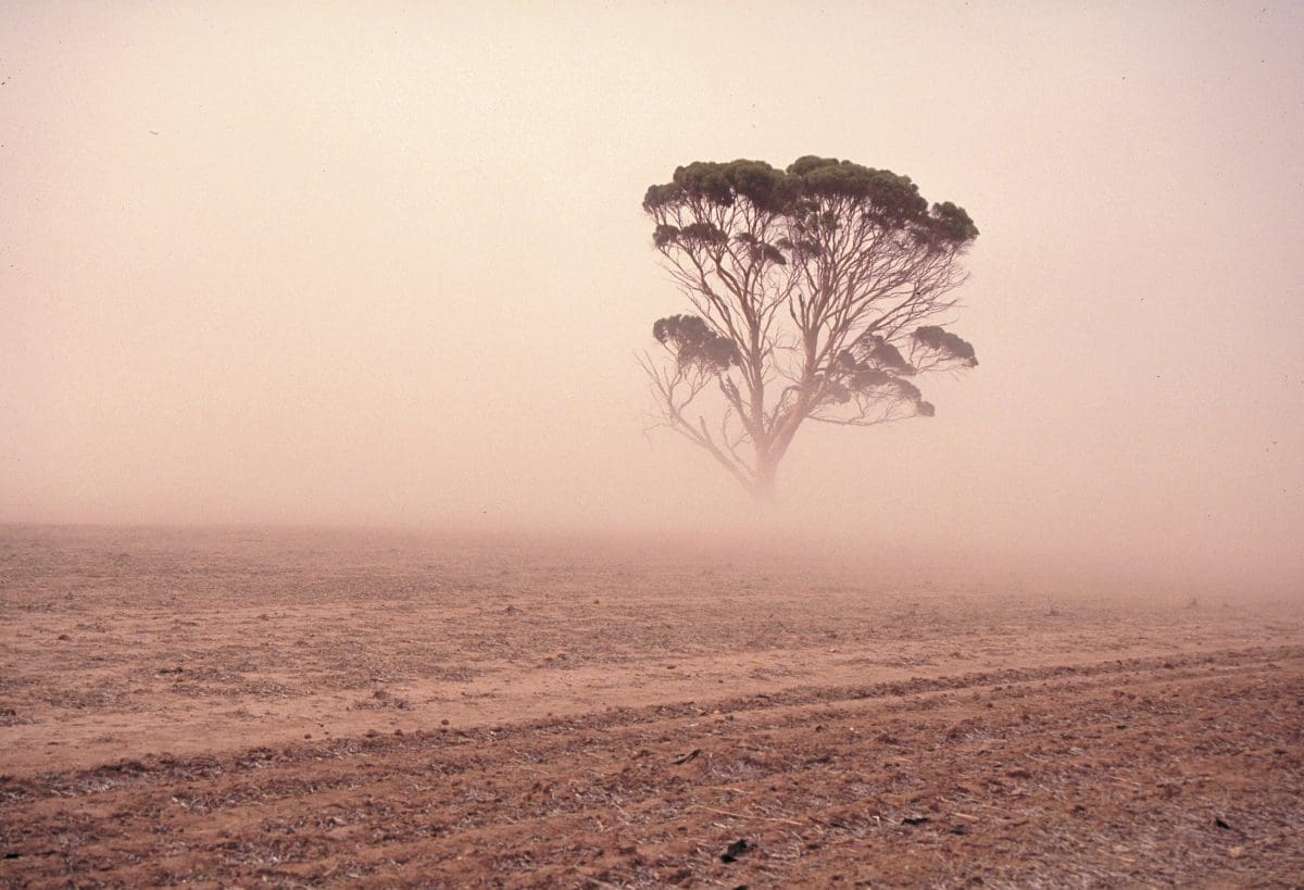 Harvest Measures To Prevent Wind Erosion Grain Central