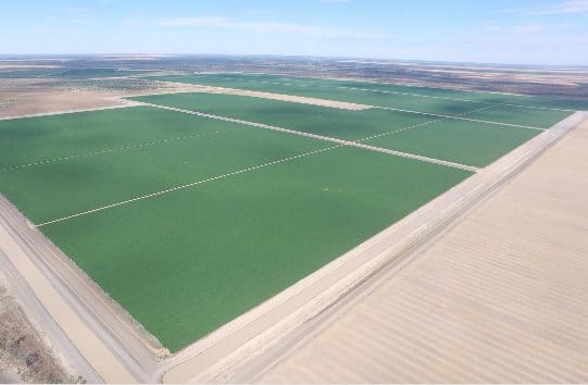 Queensland cotton powerhouses Clyde, Kia Ora for sale - Grain Central