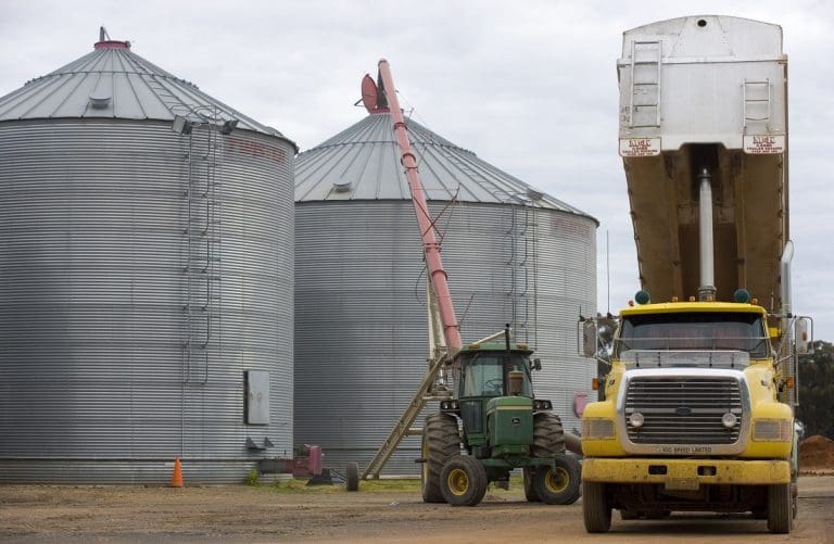 improve-grain-storage-for-a-trouble-free-harvest-grain-central