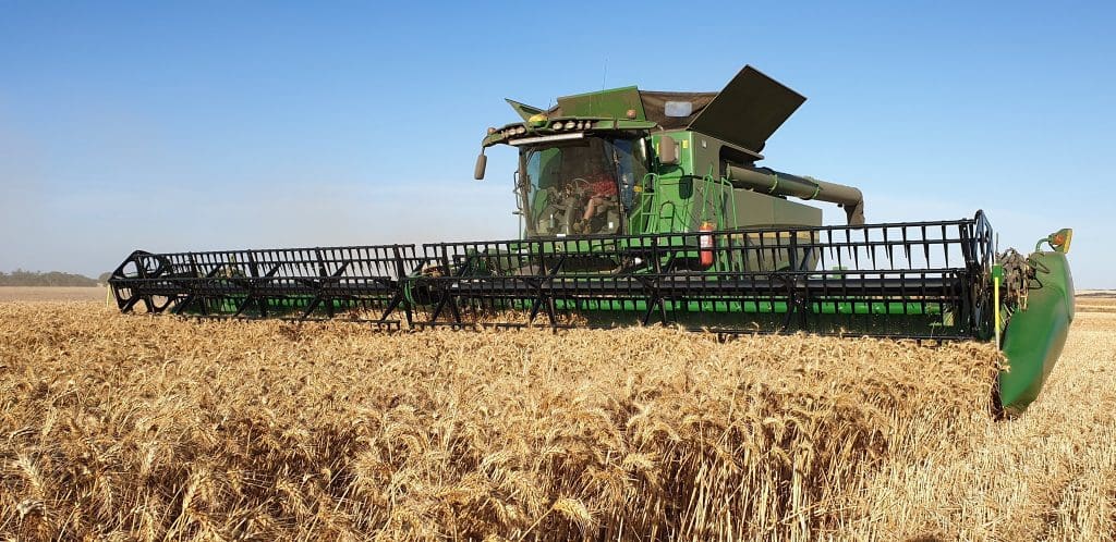 WA harvest deliveries pass 5Mt: CBH - Grain Central