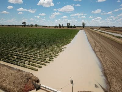 Bankless, siphonless irrigation makes every drop count - Grain Central