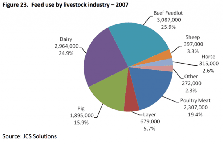 The rise and rise of feed grain - Grain Central