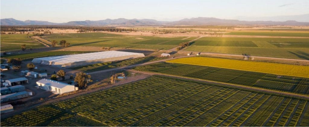 Narrabri to get new $12M crop, farming research centre - Grain Central