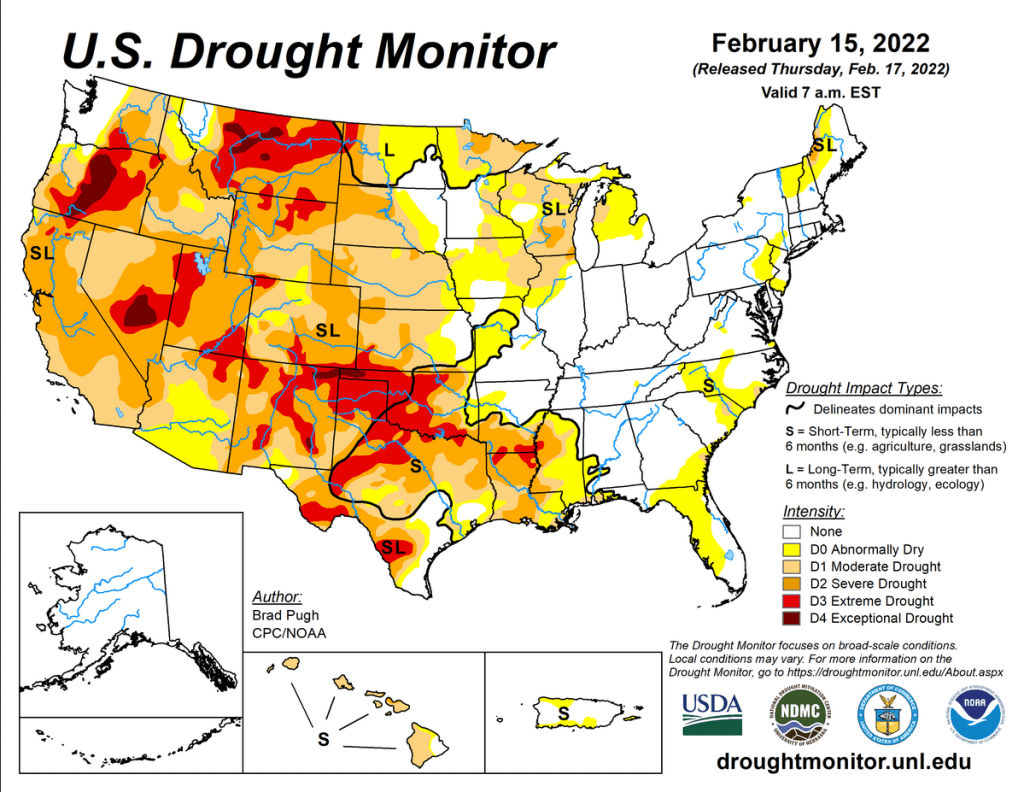 US winter-wheat area in grips of worsening drought - Grain Central