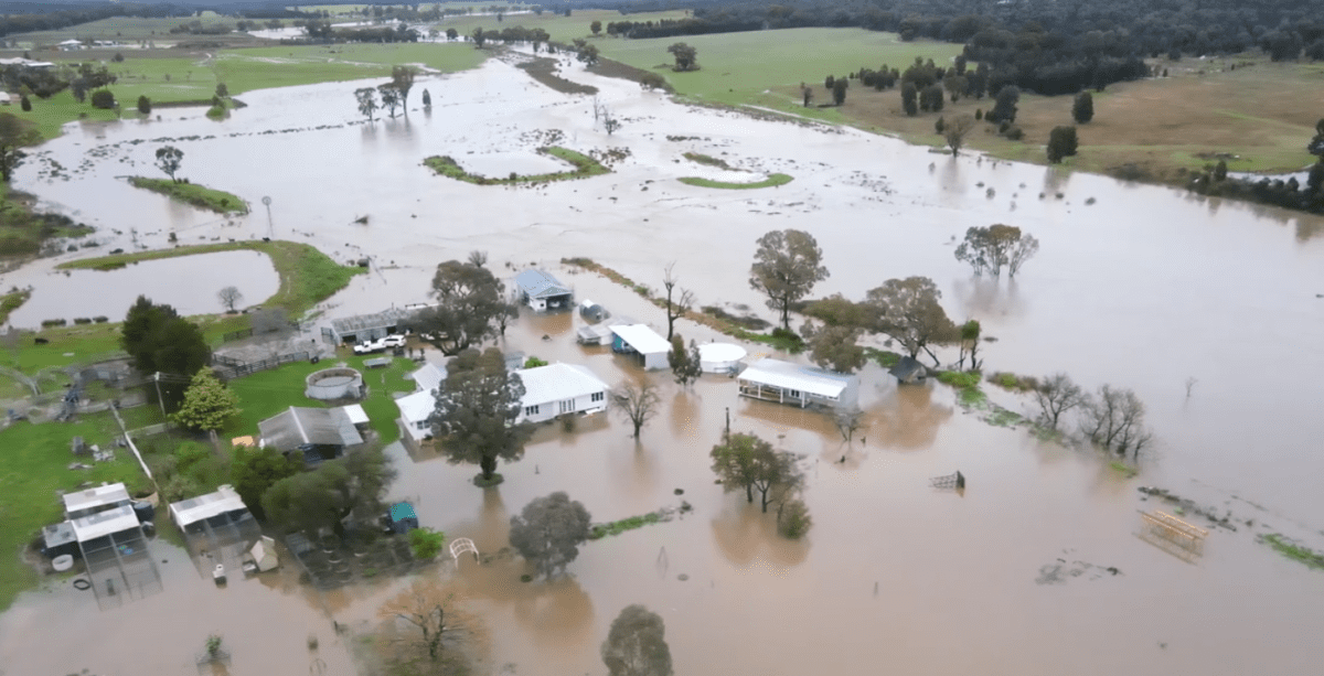 Losses build in NSW, Vic as rain, flooding bite - Grain Central