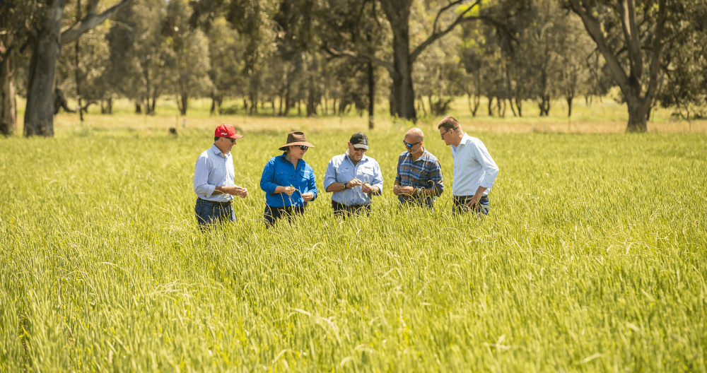 Technology empowers any farmer to trade grain globally