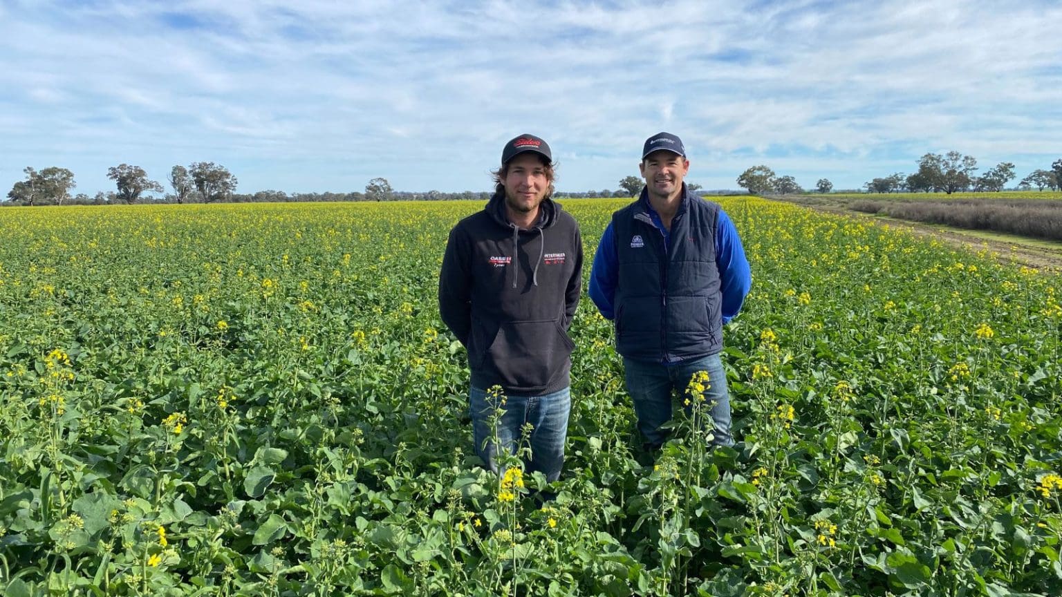 Australia sets new Oct-Jun canola shipment record - Grain Central