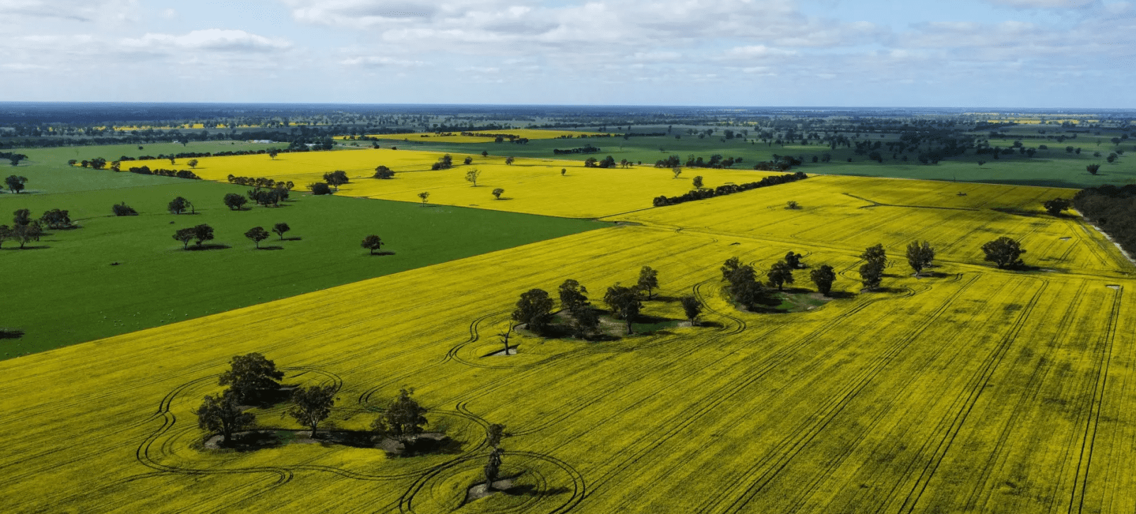 Boorala Aggregation